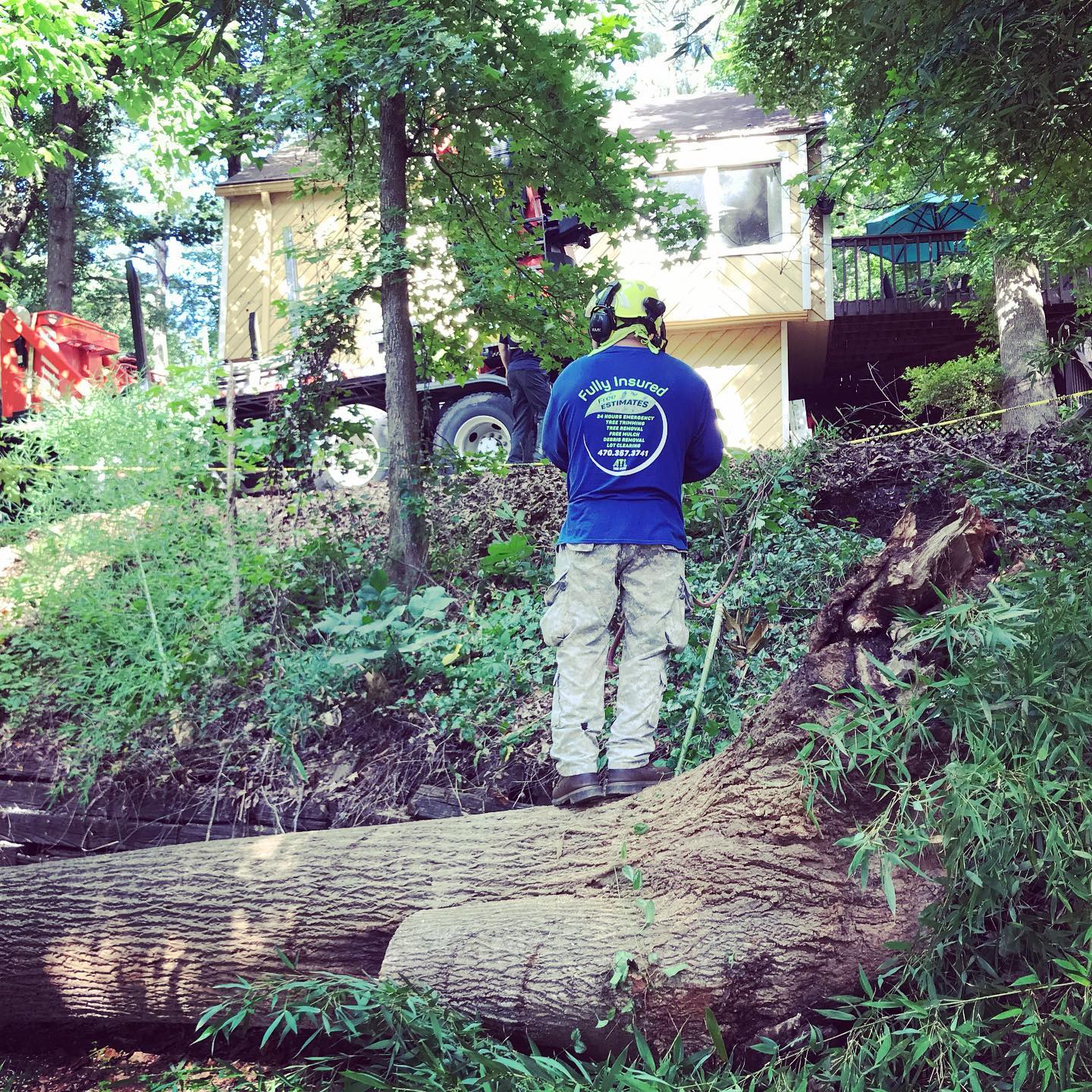 Arborist ATL