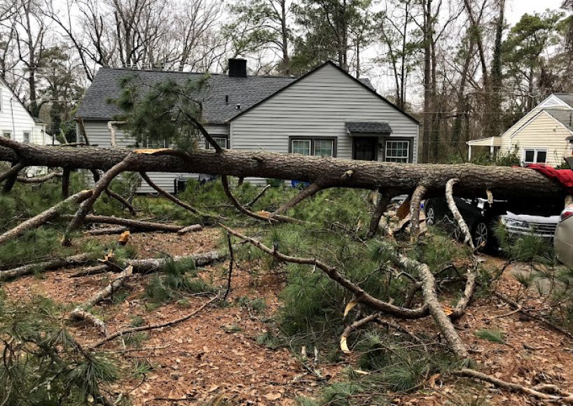Emergency Tree Removal Duluth GA