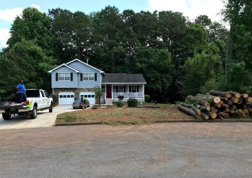 Emergency Tree Services Duluth GA