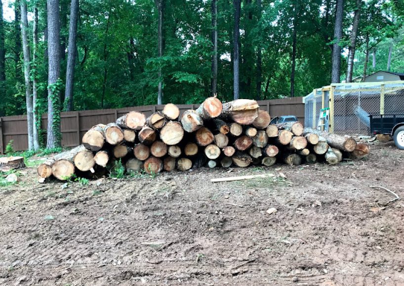 Tree Removal Peachtree Corners GA