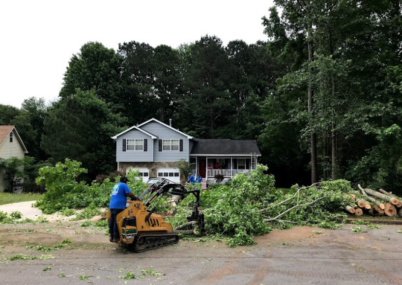 Tree Services Peachtree Corners GA